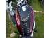 (S) SUZUKI INTRUDER VS 600 800 1400 LEATHER TANK Panel Pad Strap Chap Bib Bra